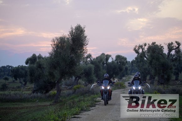 2019 Ducati Multistrada 950 