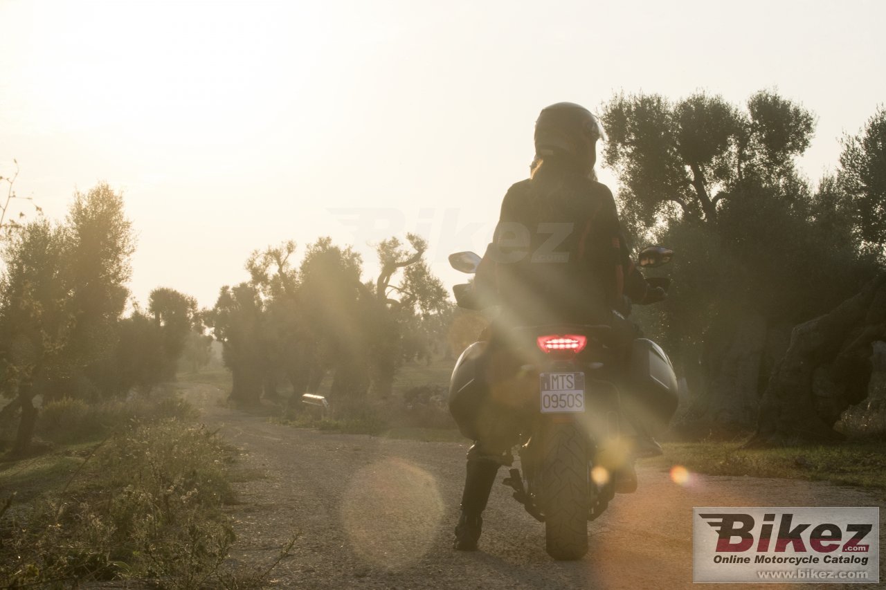 Ducati Multistrada 950 