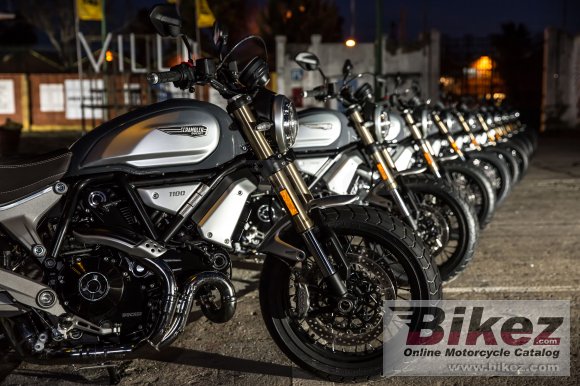 2019 Ducati Scrambler 1100