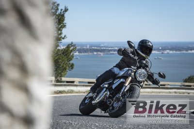 2019 Ducati Scrambler 1100 Special