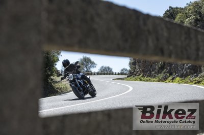 2019 Ducati Scrambler 1100 Special