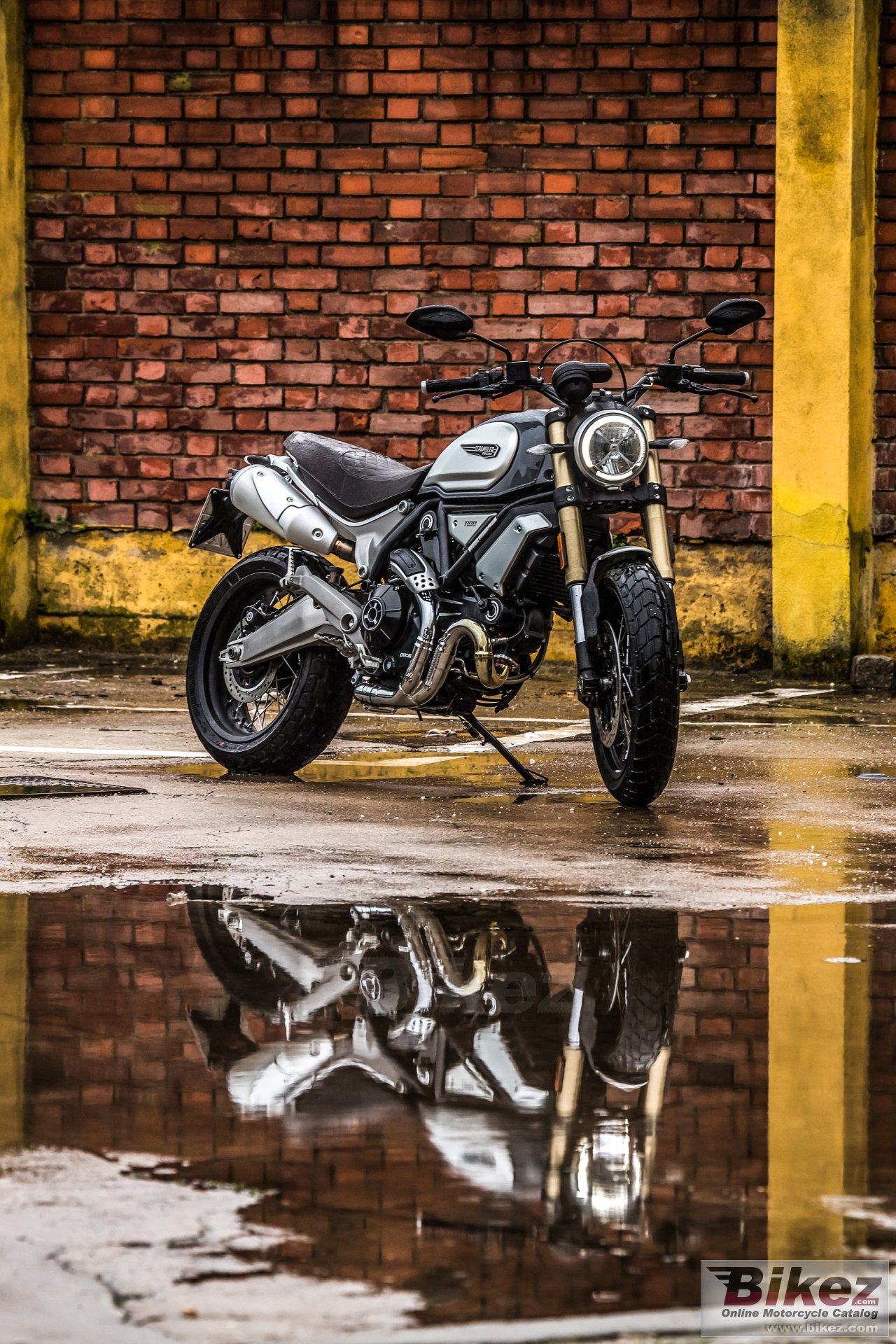 Ducati Scrambler 1100 Special