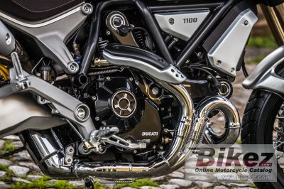 2019 Ducati Scrambler 1100 Special