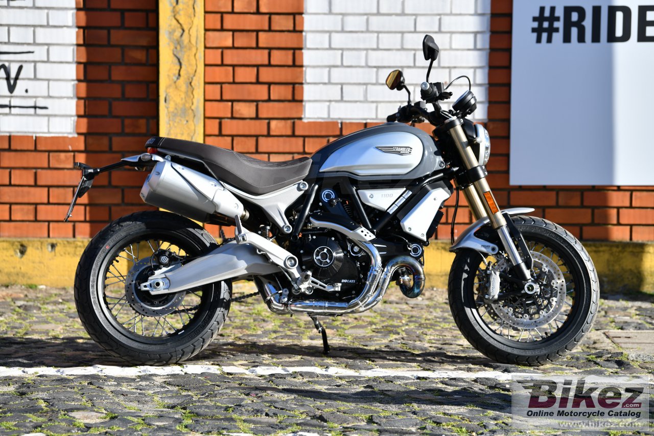 Ducati Scrambler 1100 Special