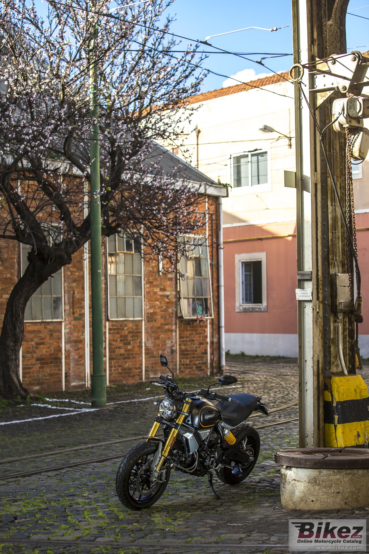 Ducati Scrambler 1100 Sport