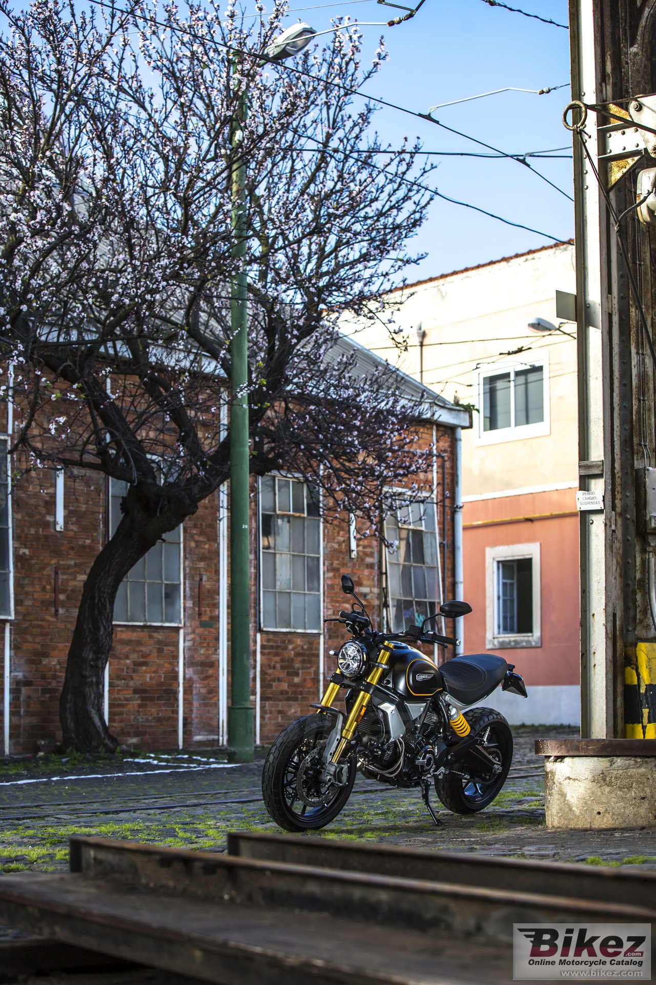 Ducati Scrambler 1100 Sport