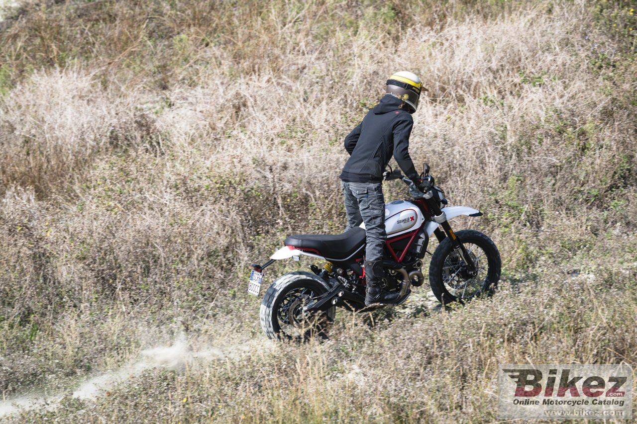 Ducati Scrambler Desert Sled