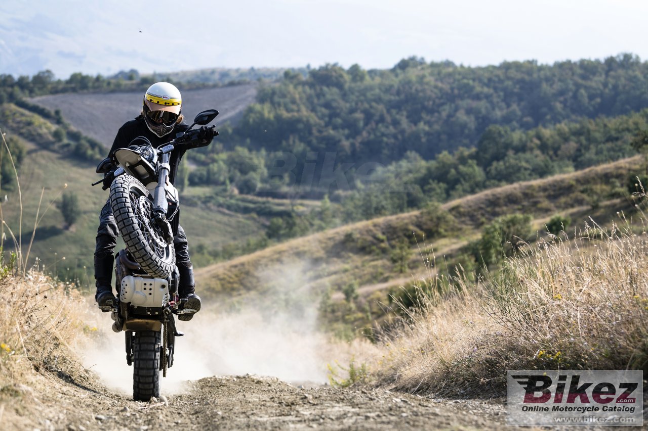 Ducati Scrambler Desert Sled