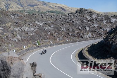 2019 Ducati Diavel 1260 S