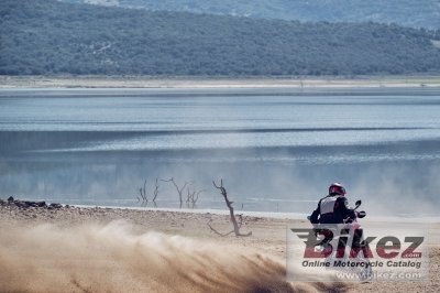 2021 Ducati Multistrada V4S