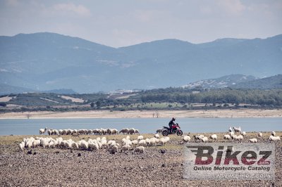 2021 Ducati Multistrada V4S