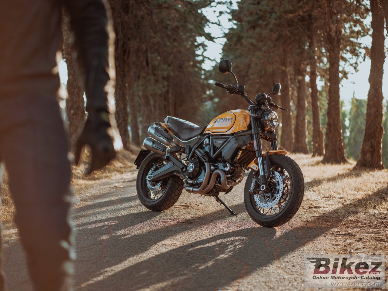 Ducati Scrambler 1100 Tribute Pro