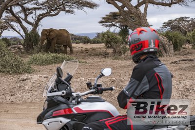 2023 Ducati Multistrada V4 Rally