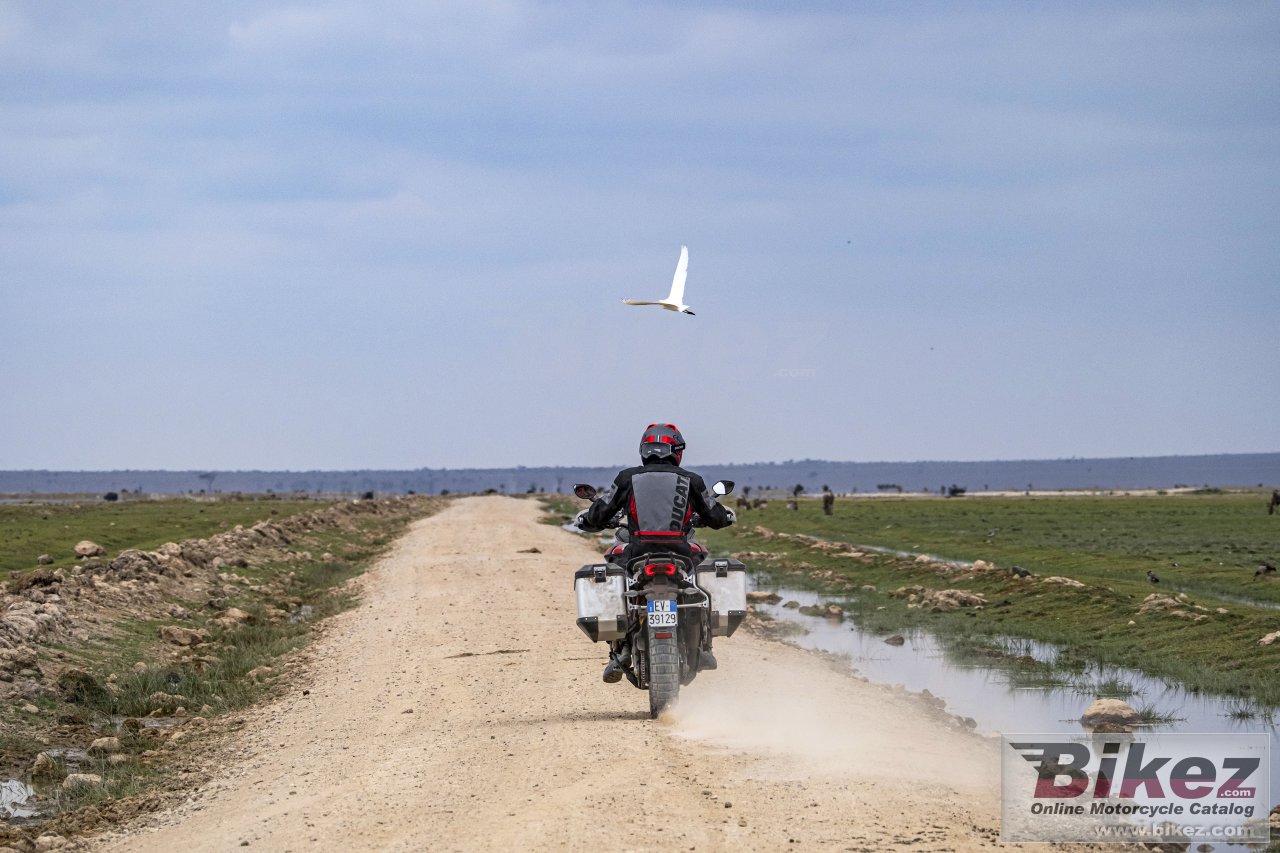 Ducati Multistrada V4 Rally