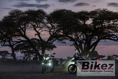 2023 Ducati Multistrada V4 Rally