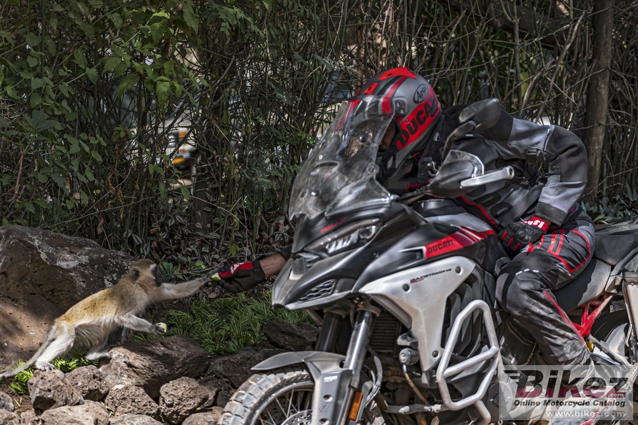 Ducati Multistrada V4 Rally