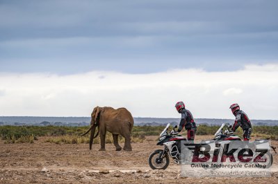2023 Ducati Multistrada V4 Rally