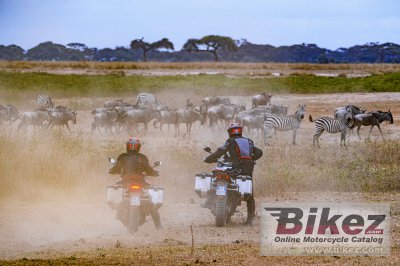 2023 Ducati Multistrada V4 Rally