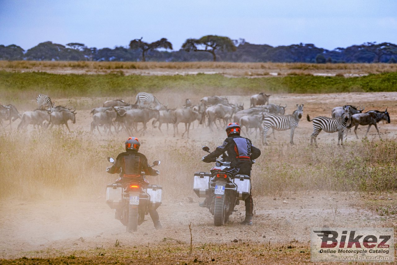 Ducati Multistrada V4 Rally