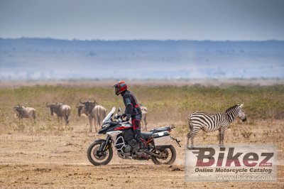 2023 Ducati Multistrada V4 Rally