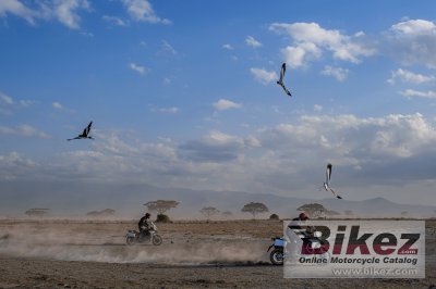 2023 Ducati Multistrada V4 Rally