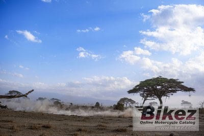 2023 Ducati Multistrada V4 Rally