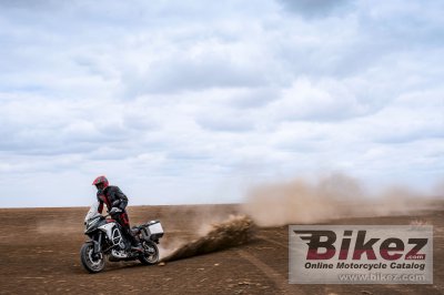 2023 Ducati Multistrada V4 Rally