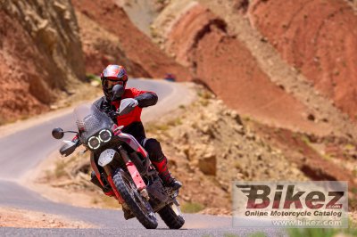 2024 Ducati DesertX Rally