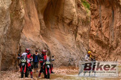 2024 Ducati DesertX Rally