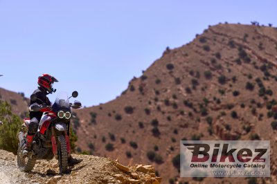 2024 Ducati DesertX Rally