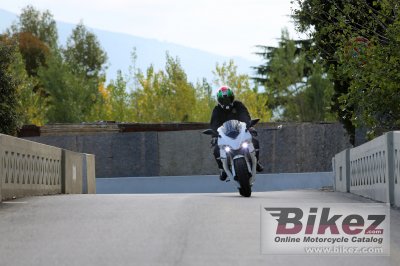 2013 eCRP Energica