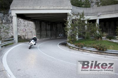 2013 eCRP Energica