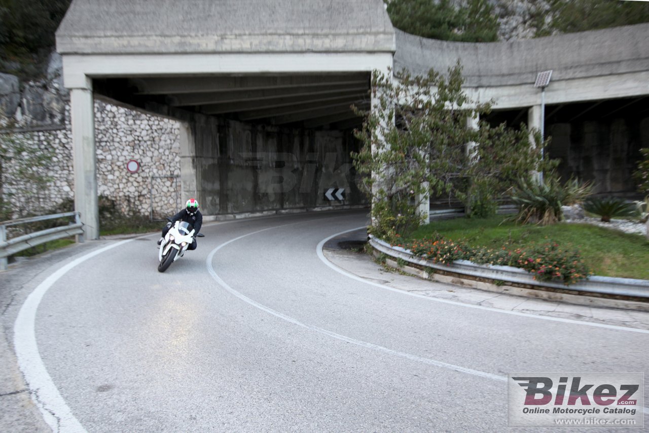 eCRP Energica