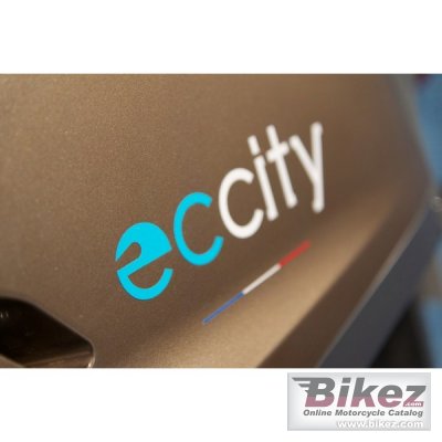 2016 Electric City Artelec 670