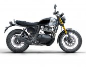 2025 Enfield Bear 650 