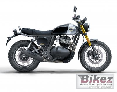 2025 Enfield Bear 650 