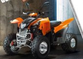 2010 Fokamo ATV 320 Bullet