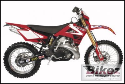 GAS GAS EC 300 Racing