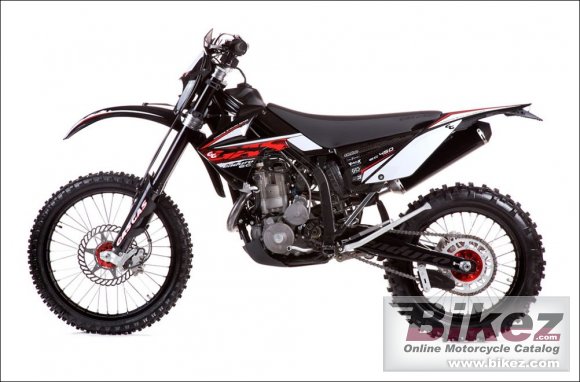 2010 GAS GAS EC 450 4T