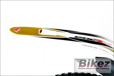 2011 GAS GAS TXT Pro Raga 300