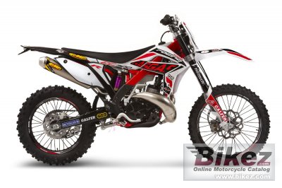 2014 GAS GAS EC Racing 250