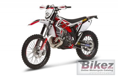 2014 GAS GAS EC Racing 250
