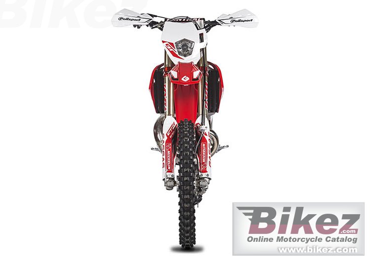 GAS GAS EnduroGP 250