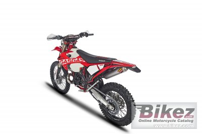 2018 GAS GAS EnduroGP 300