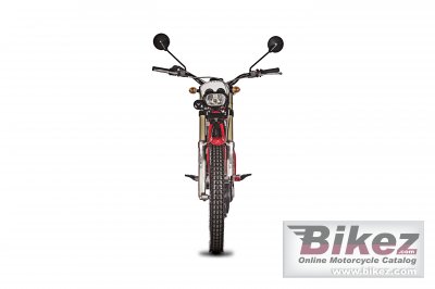 2019 GAS GAS TXT Racing 300