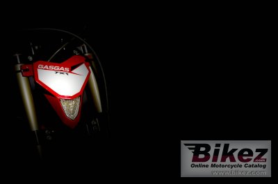2019 GAS GAS TXT Racing 300