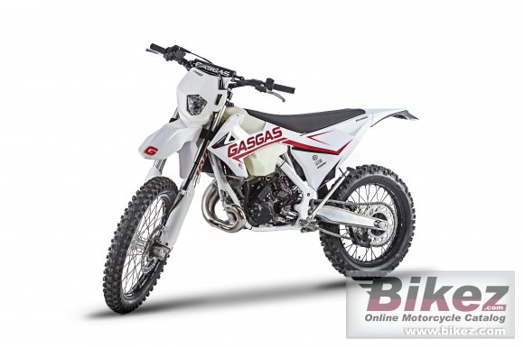 2019 GAS GAS ECRanger 300