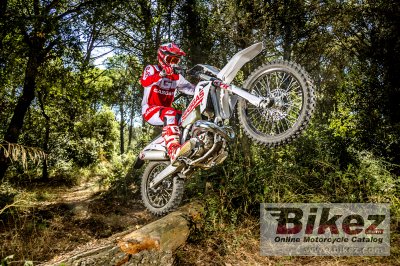 2019 GAS GAS ECRanger 300