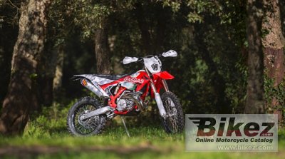 2019 GAS GAS EC 250 rated