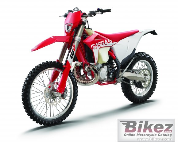 2021 GAS GAS EC 250